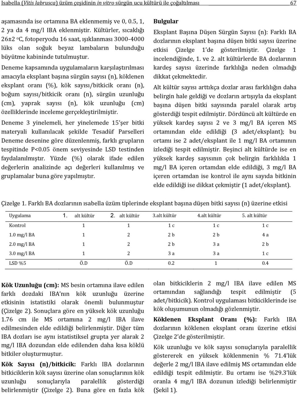 Deneme kapsamında uygulamaların karşılaştırılması amacıyla eksplant başına sürgün sayısı (n), köklenen eksplant oranı (%), kök sayısı/bitkicik oranı (n), boğum sayısı/bitkicik oranı (n), sürgün