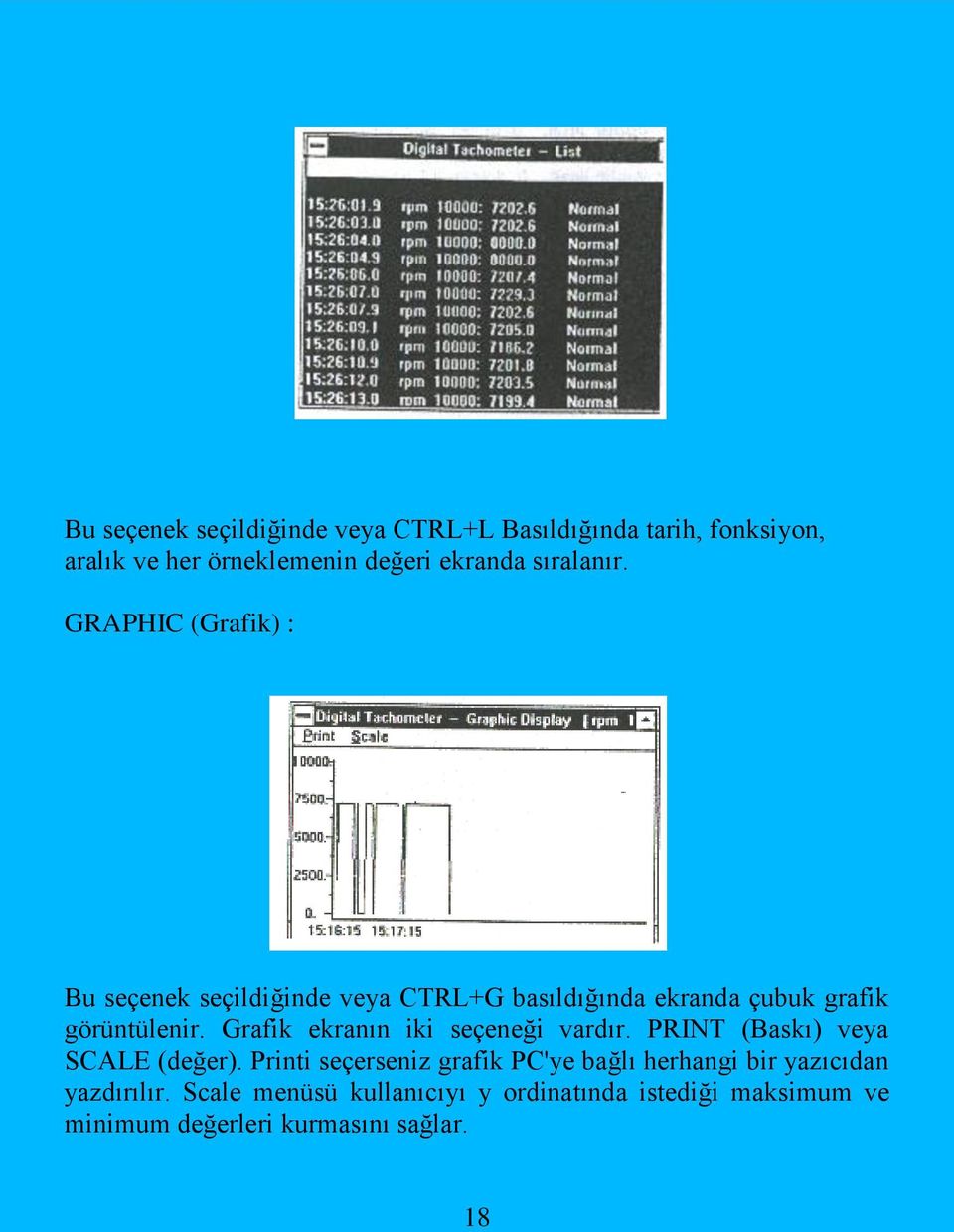 Grafik ekranın iki seçeneği vardır. PRINT (Baskı) veya SCALE (değer).