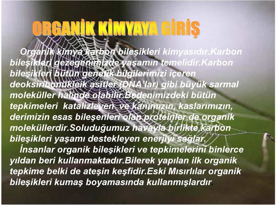 bedenimizdeki bütün tepkimeleri katalizleyen ve kanımızın, kaslarımızın, derimizin esas bileşenleri olan proteinler de organik moleküllerdir.