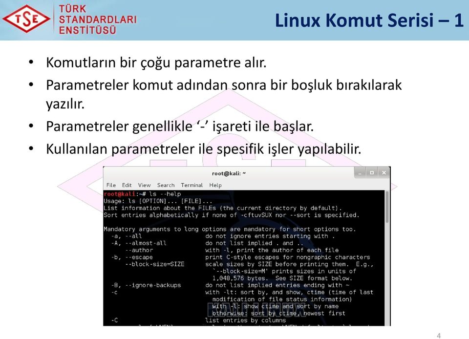 yazılır. Parametreler genellikle - işareti ile başlar.