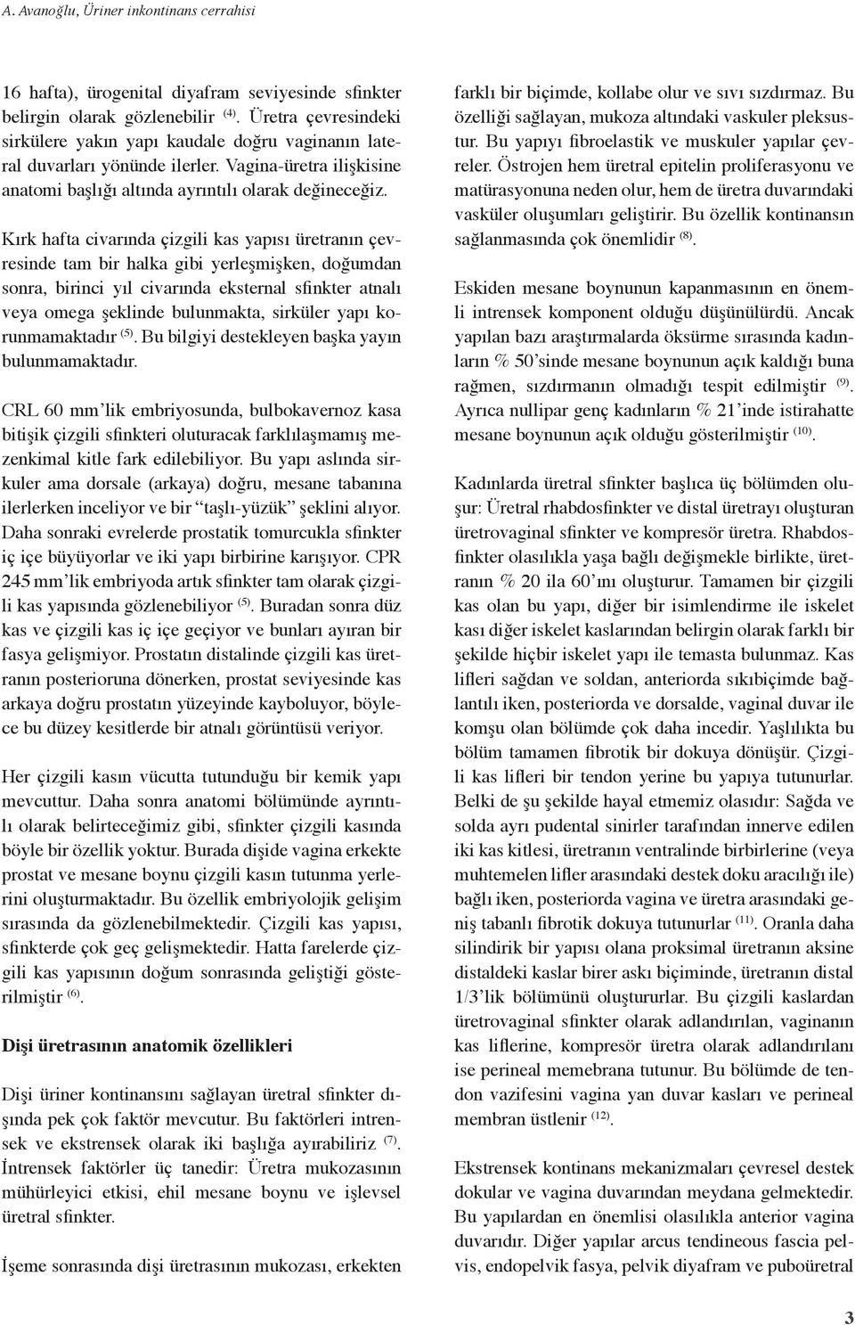 Kırk hafta civarında çizgili kas yapısı üretranın çevresinde tam bir halka gibi yerleşmişken, doğumdan sonra, birinci yıl civarında eksternal sfinkter atnalı veya omega şeklinde bulunmakta, sirküler