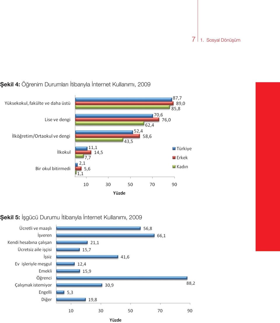 İnternet Kullanımı, 2009 Şekil 5: