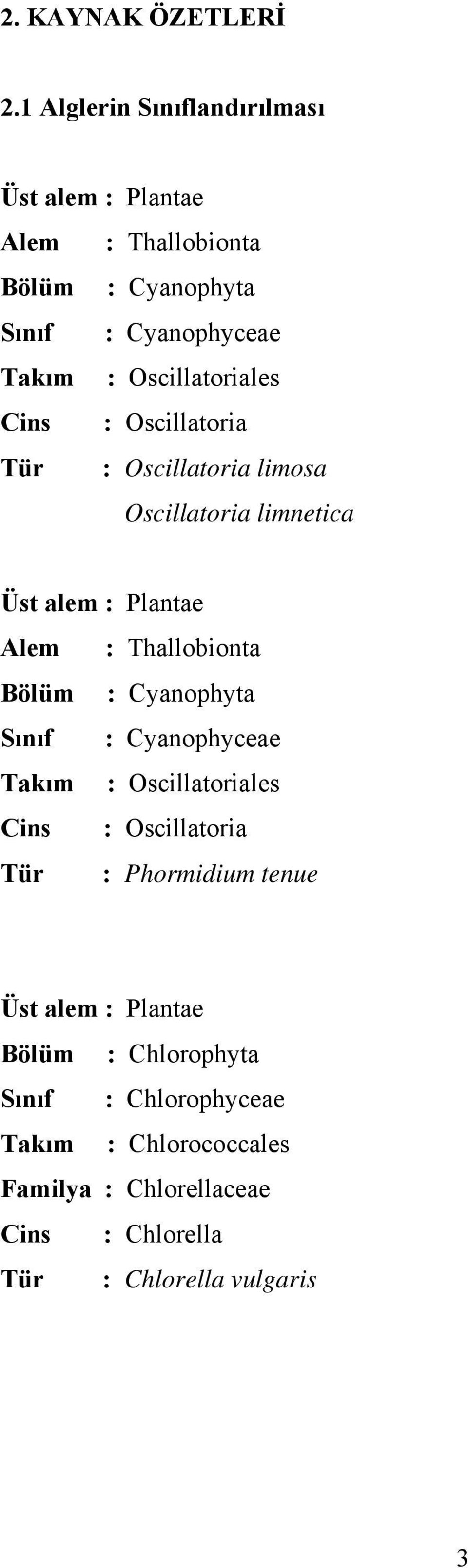 Oscillatoriales Cins : Oscillatoria Tür : Oscillatoria limosa Oscillatoria limnetica Üst alem : Plantae Alem : Thallobionta Bölüm