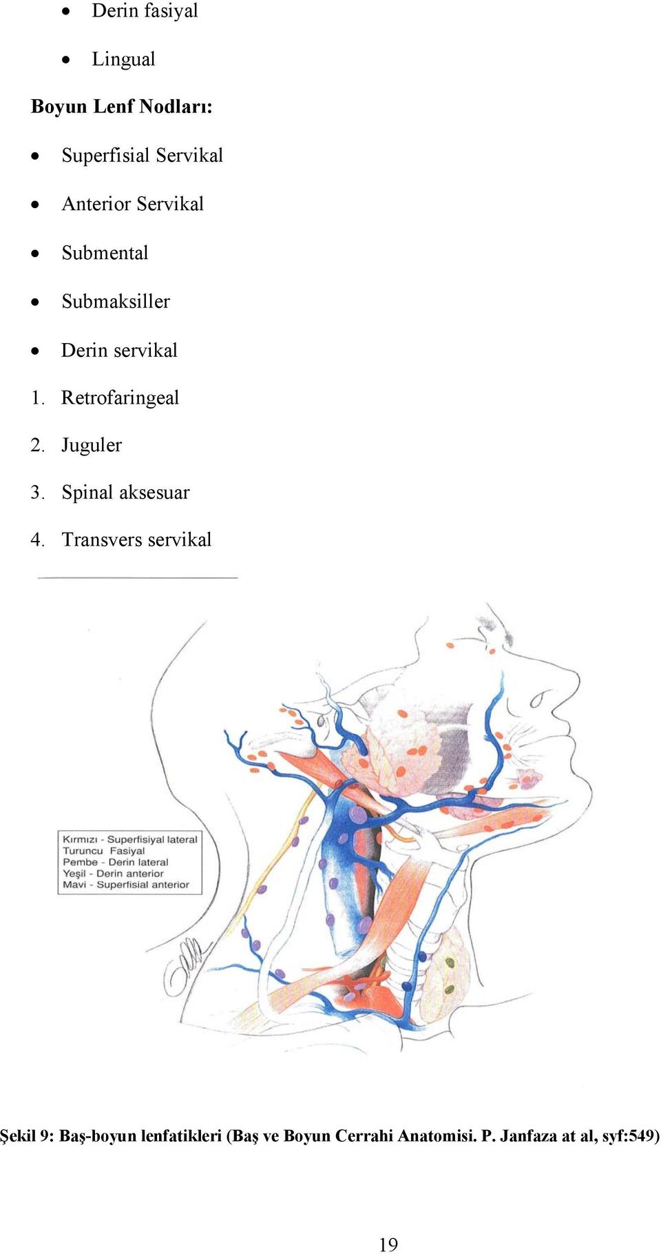 Retrofaringeal 2. Juguler 3. Spinal aksesuar 4.