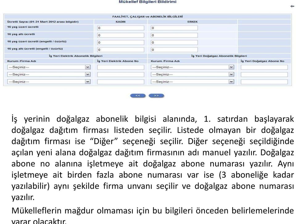 Diğer seçeneği seçildiğinde açılan yeni alana doğalgaz dağıtım firmasının adı manuel yazılır.