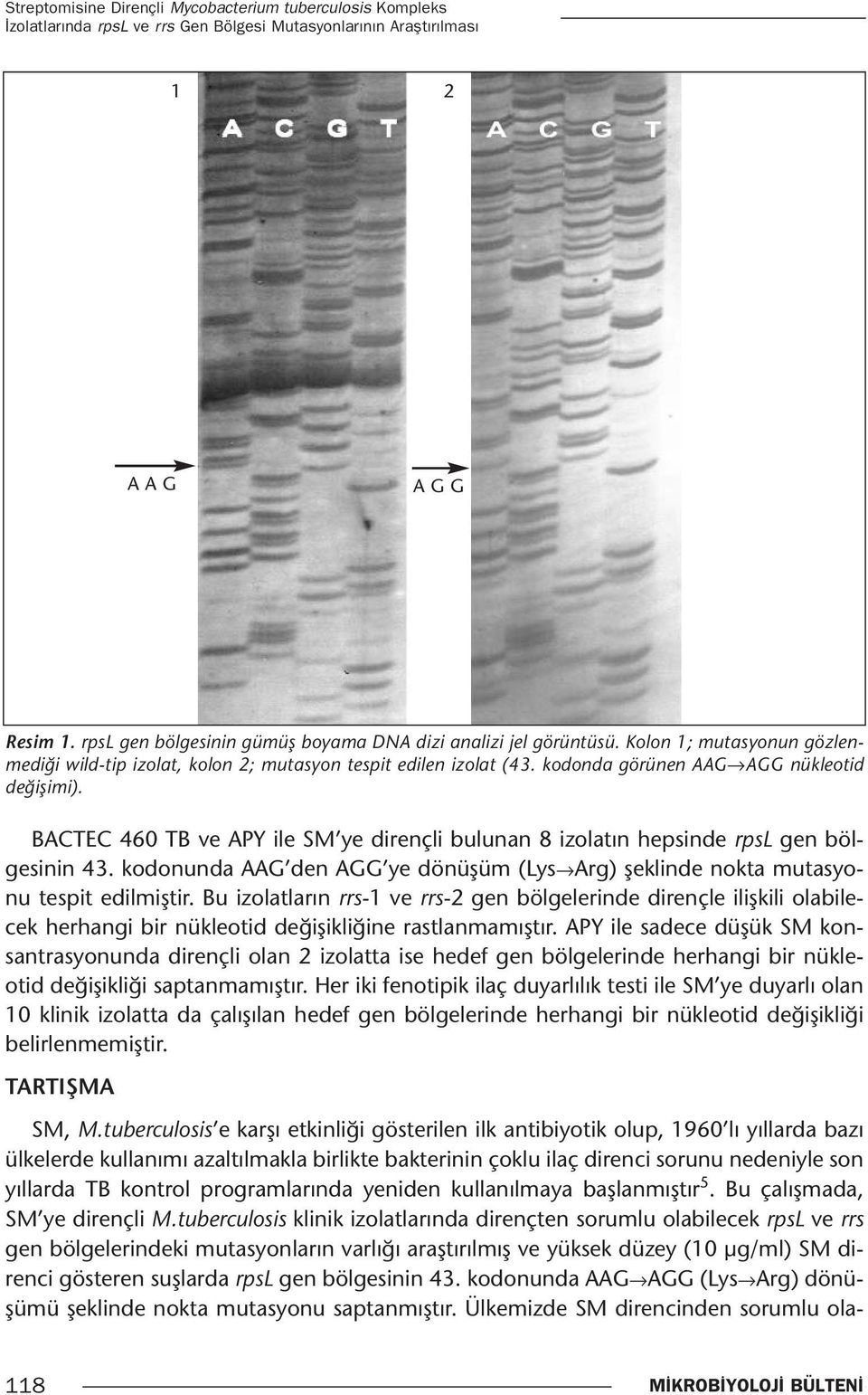 kodonda görünen AAG AGG nükleotid değişimi). BACTEC 460 TB ve APY ile SM ye dirençli bulunan 8 izolatın hepsinde rpsl gen bölgesinin 43.