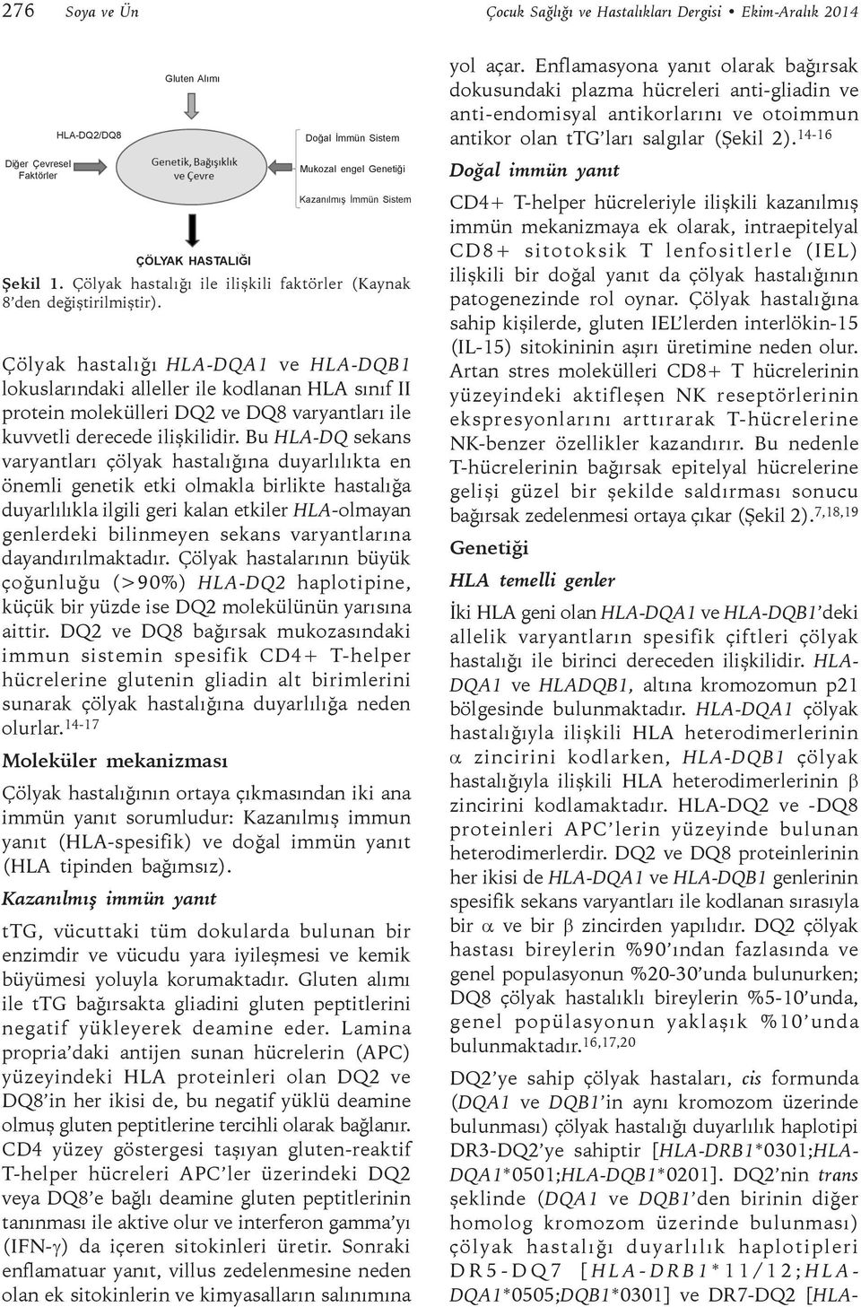 Çölyak hastalığı HLA-DQA1 ve HLA-DQB1 lokuslarındaki alleller ile kodlanan HLA sınıf II protein molekülleri DQ2 ve DQ8 varyantları ile kuvvetli derecede ilişkilidir.