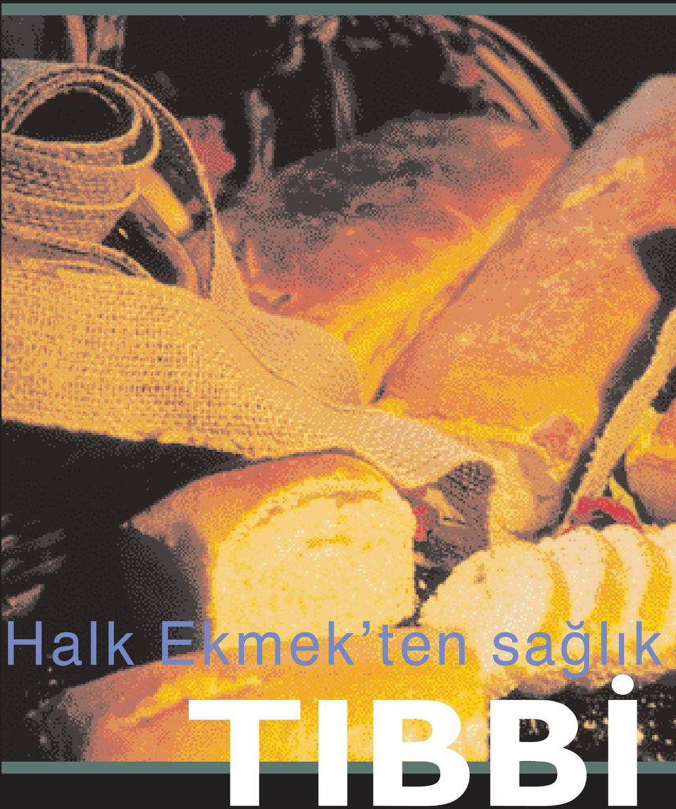 TIBB 4 HALK