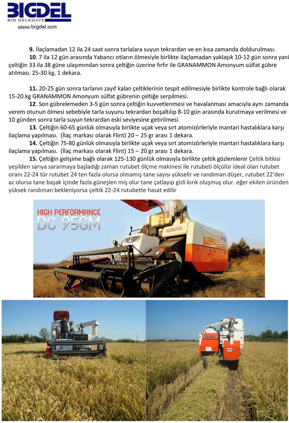 atılması. 25-30 kg. 1 dekara. 11. 20-25 gün sonra tarlanın zayıf kalan çeltiklerinin tespit edilmesiyle birlikte kontrole bağlı olarak 15-20 kg GRANAMMON Amonyum sülfat gübrenin çeltiğe serpilmesi.