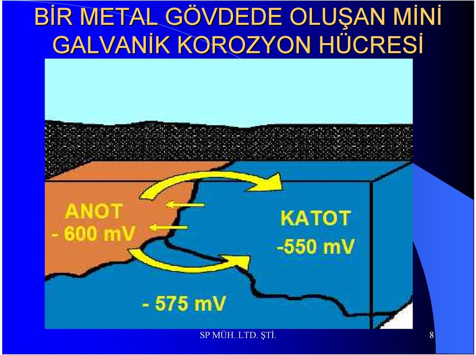 K KOROZYON HÜCRESH