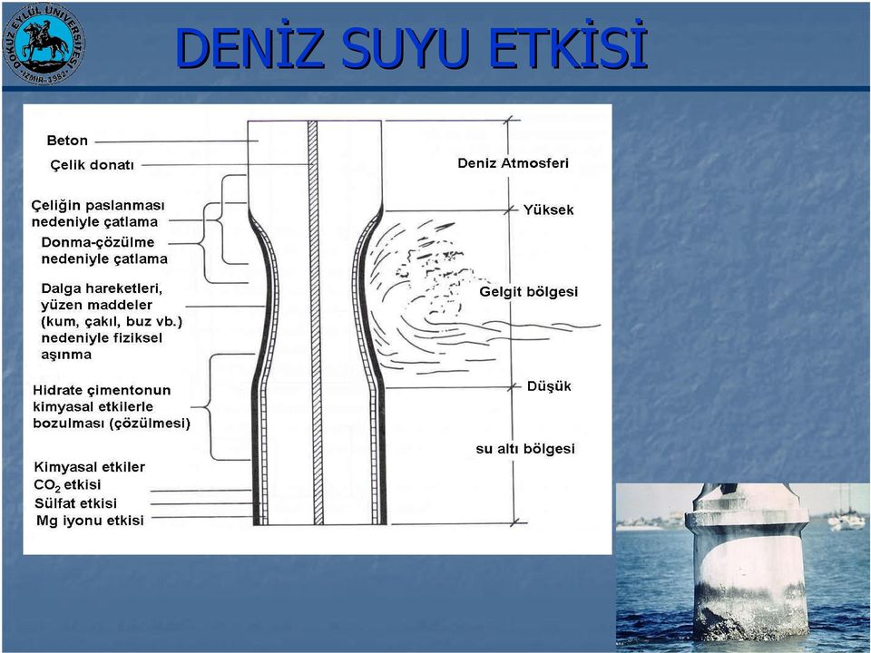 ETKĐSĐ 17