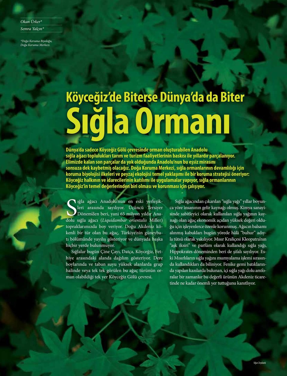 parçalanıyor. Elimizde kalan son parçalar da yok olduğunda Anadolu nun bu eşsiz mirasını sonsuza dek kaybetmiş olacağız.