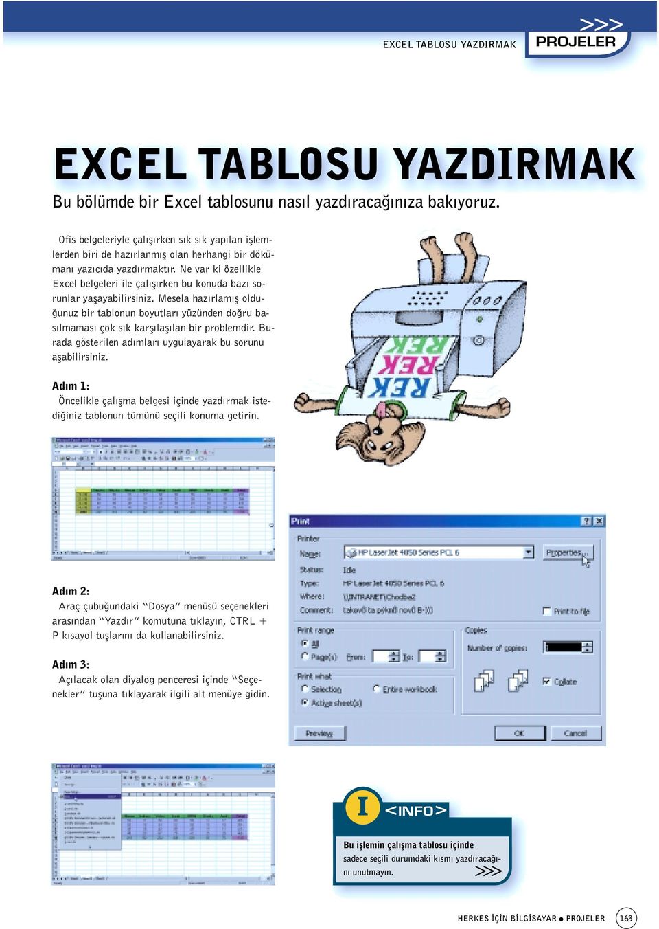 Ne var ki özellikle Excel belgeleri ile çal fl rken bu konuda baz sorunlar yaflayabilirsiniz.