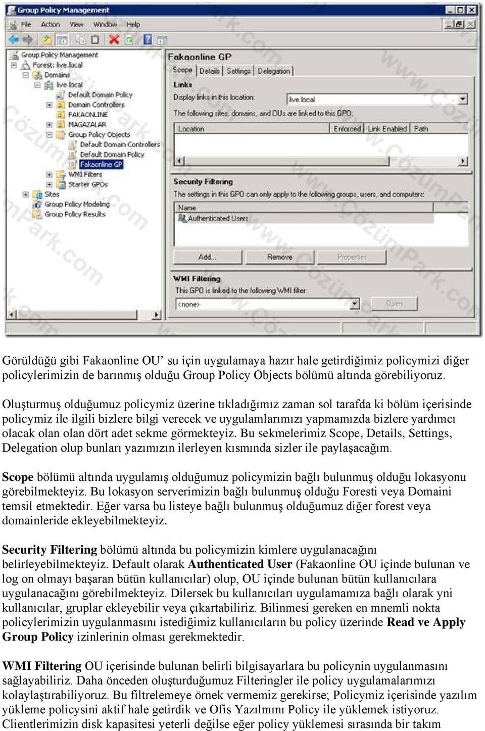 dört adet sekme görmekteyiz. Bu sekmelerimiz Scope, Details, Settings, Delegation olup bunları yazımızın ilerleyen kısmında sizler ile paylaşacağım.