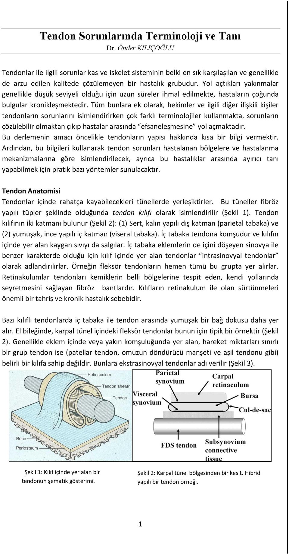 Yol açtıkları yakınmalar genellikle düşük seviyeli olduğu için uzun süreler ihmal edilmekte, hastaların çoğunda bulgular kronikleşmektedir.