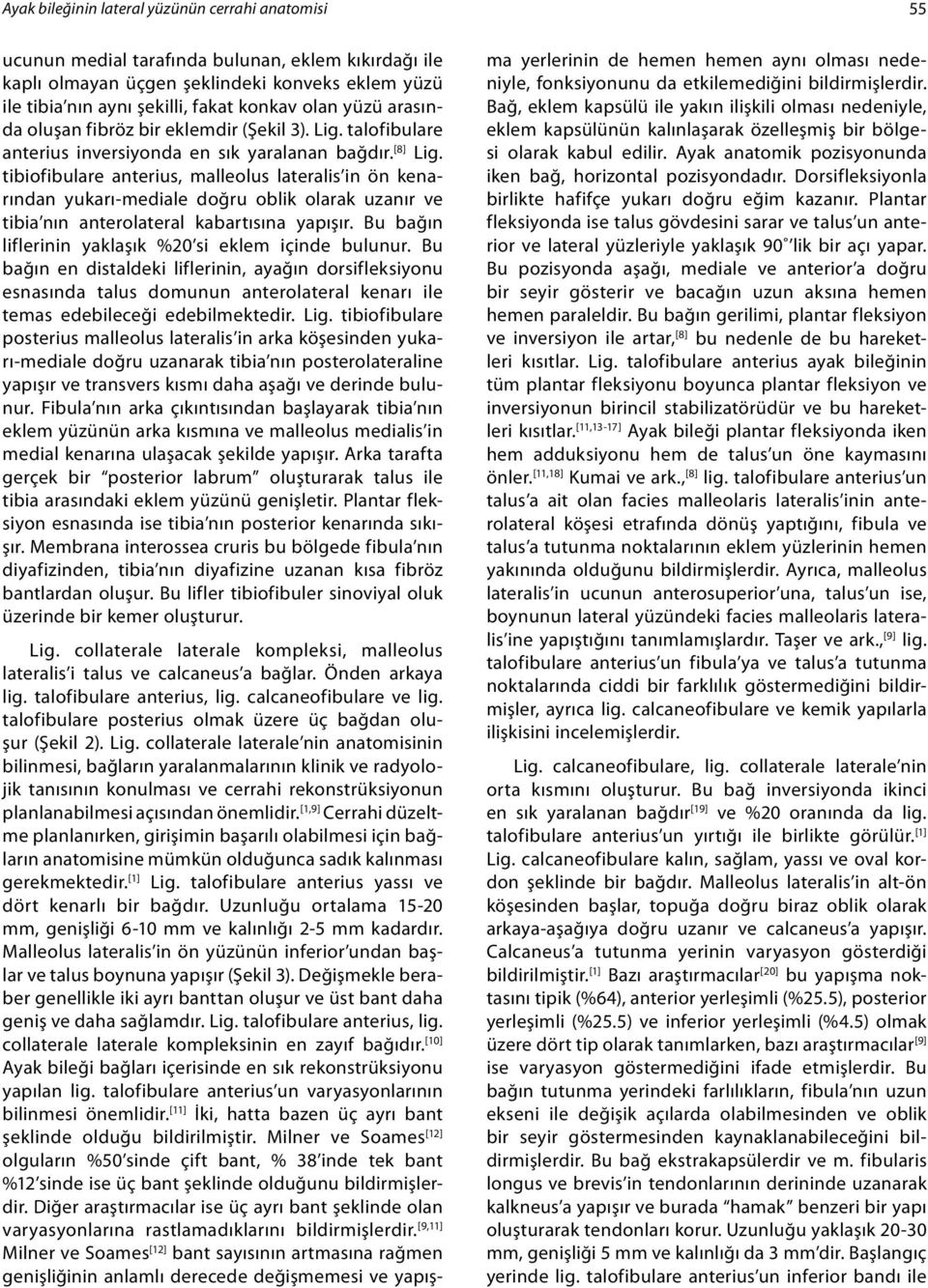 tibiofibulare anterius, malleolus lateralis in ön kenarından yukarı-mediale doğru oblik olarak uzanır ve tibia nın anterolateral kabartısına yapışır.