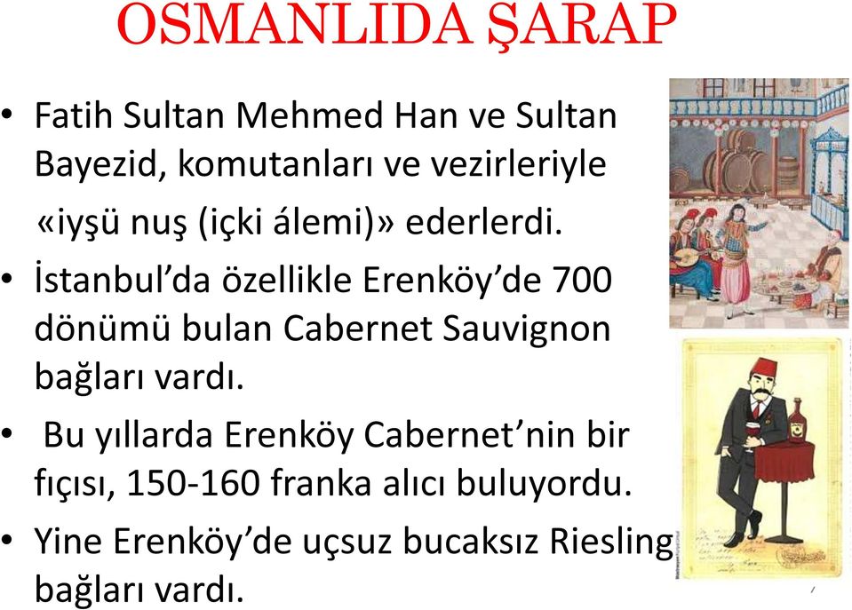 İstanbul da özellikle Erenköy de 700 dönümü bulan Cabernet Sauvignon bağları vardı.