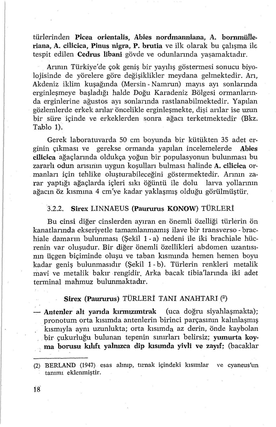 Arı, Akdeniz iklim kuşağında (Mersin - Namrun) mayıs ayı sonlarında erginleşmeye başladığı halde Doğu Karadeniz Bölgesi ormanların da erginlerine ağustos ayı sonlarında rastlanabilmektedir.