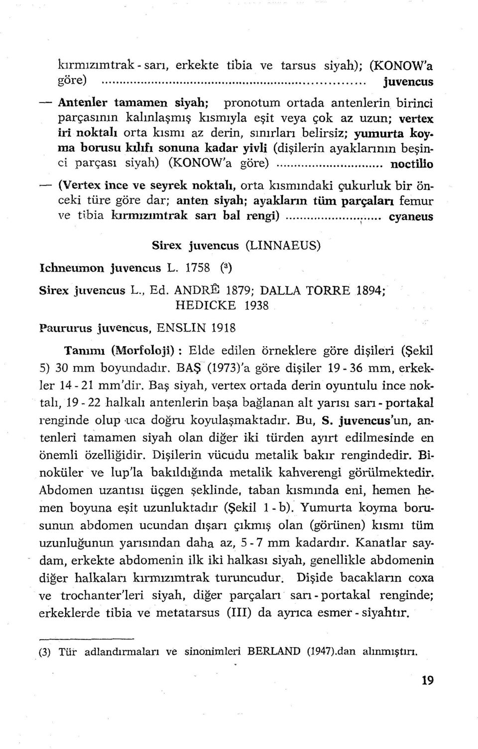 yumurta koy ma borusu kı.lıfı sonuna kadar yivli (dişilerin ayaklarının beşinci parçası siyah) (KONOW'a göre).