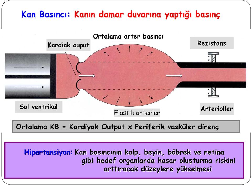 Output x Periferik vasküler direnç Hipertansiyon: Kan basınc ncının n kalp, beyin, böbrek