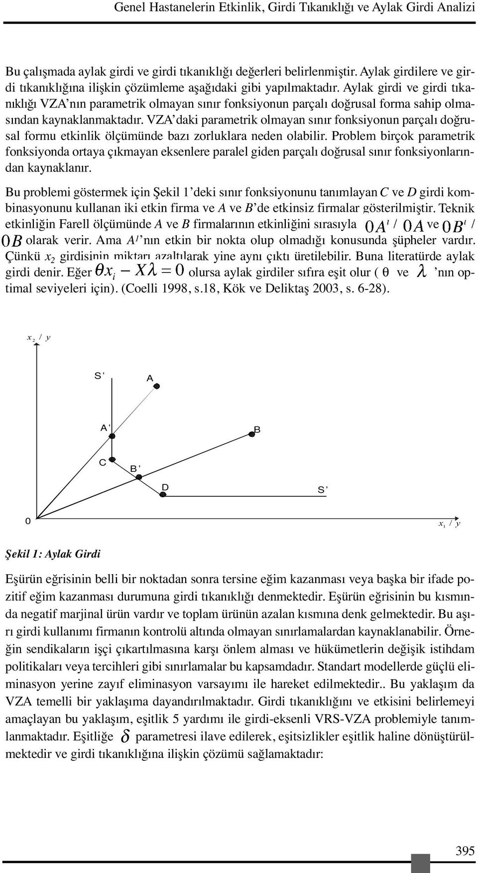 Aylak girdi ve girdi tıkanıklığı VZA nın parametrik olmayan sınır fonksiyonun parçalı doğrusal forma sahip olmasından kaynaklanmaktadır.