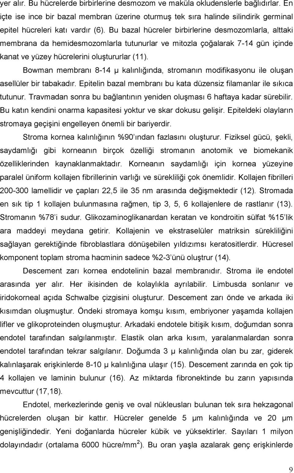 Bu bazal hücreler birbirlerine desmozomlarla, alttaki membrana da hemidesmozomlarla tutunurlar ve mitozla çoğalarak 7-14 gün içinde kanat ve yüzey hücrelerini oluştururlar (11).