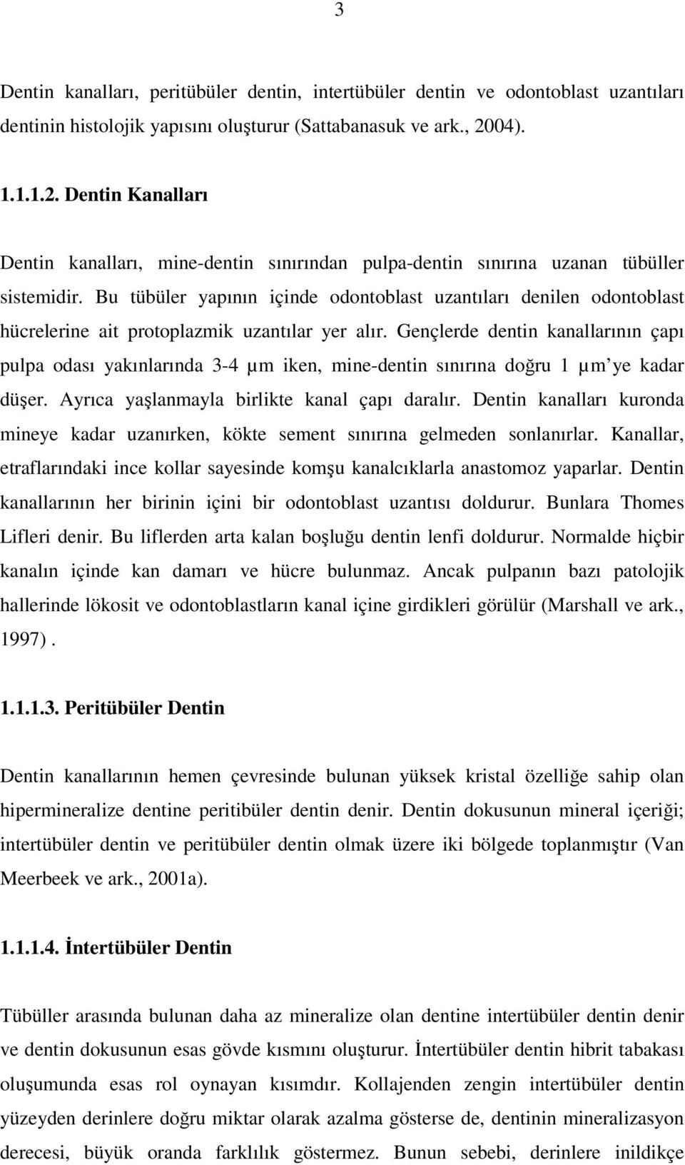 Bu tübüler yapının içinde odontoblast uzantıları denilen odontoblast hücrelerine ait protoplazmik uzantılar yer alır.