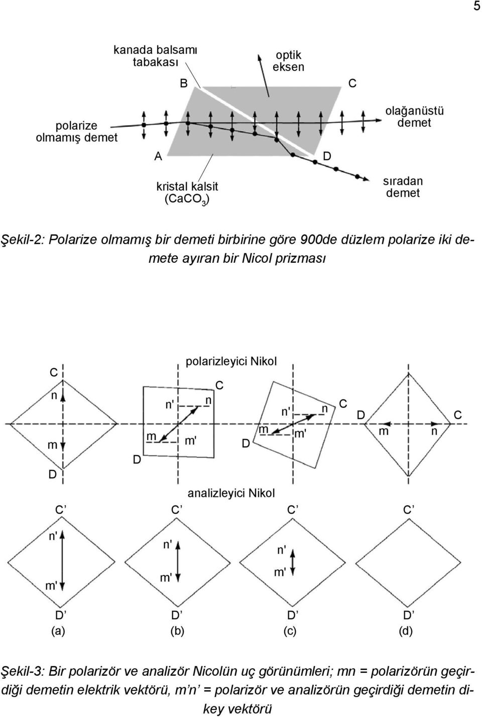 Nikol n n' n n' n m m m' m m m' analizleyici Nikol n n' m' n' m' n' m' (a) (b) (c) (d) Şekil-3: Bir polarizör ve analizör