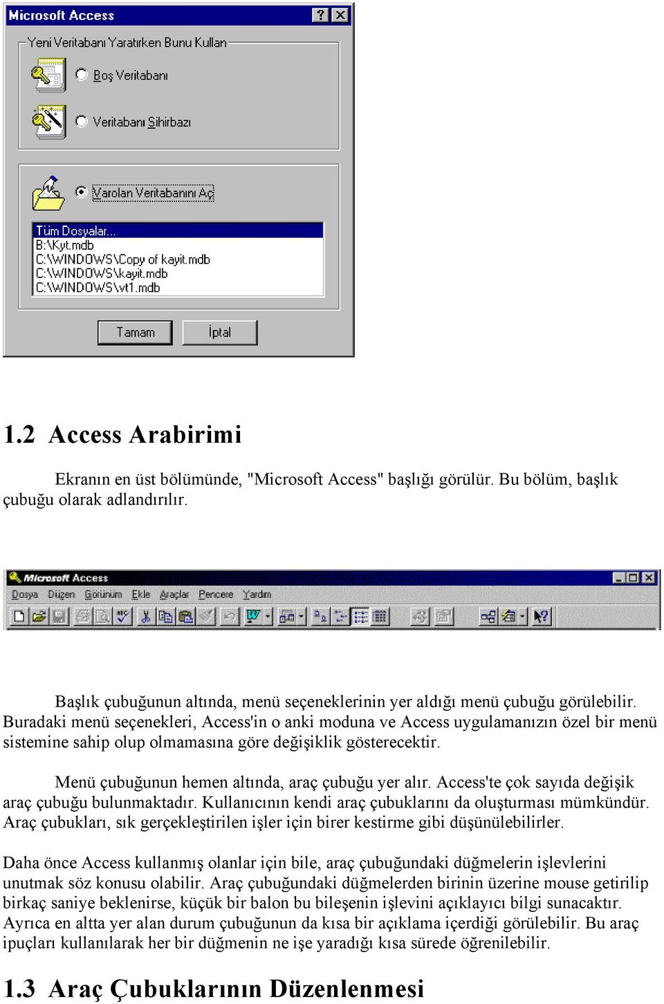 Buradaki menü seçenekleri, Access'in o anki moduna ve Access uygulamanızın özel bir menü sistemine sahip olup olmamasına göre değişiklik gösterecektir.