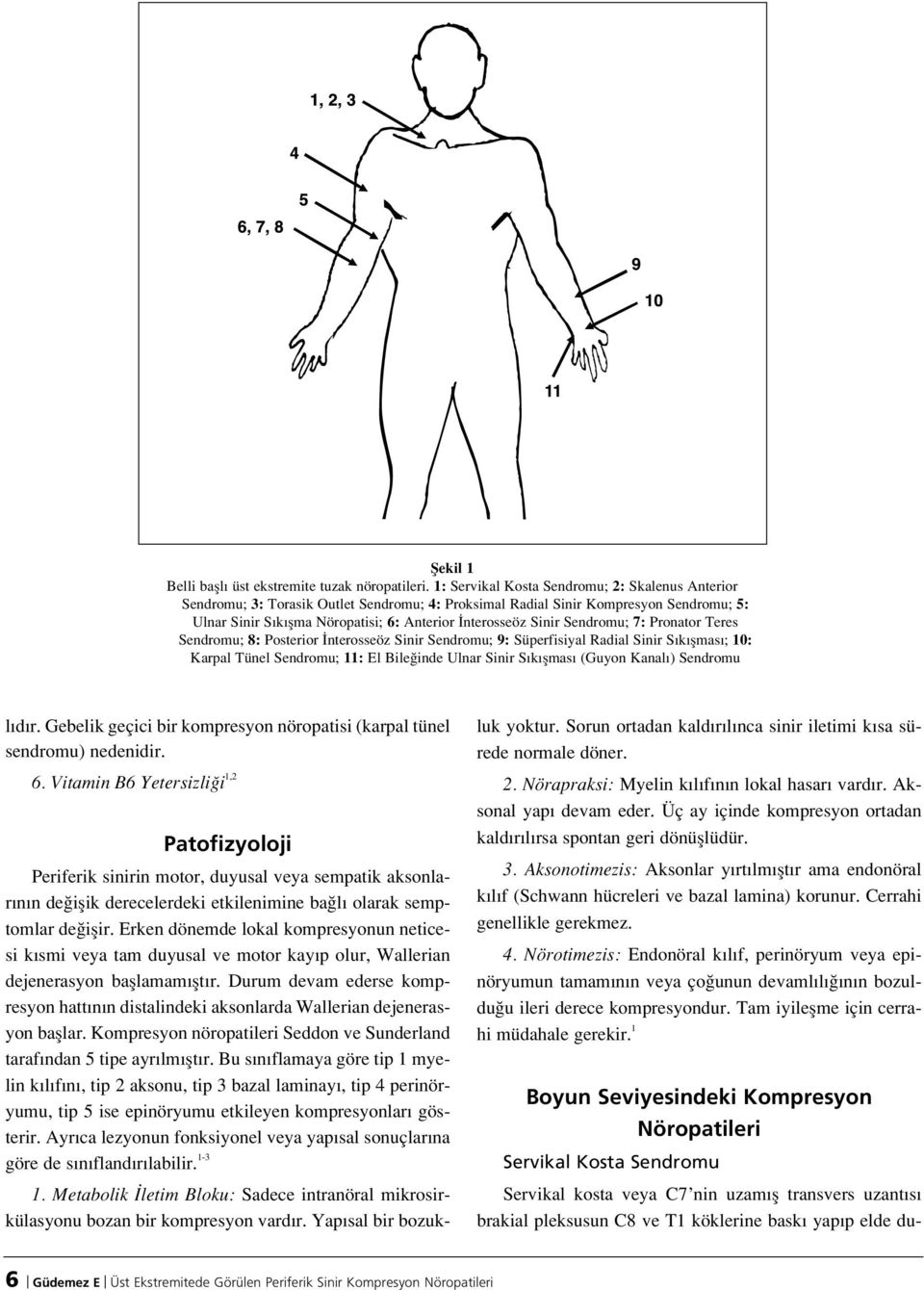 Sendromu; 7: Pronator Teres Sendromu; 8: Posterior nterosseöz Sinir Sendromu; 9: Süperfisiyal Radial Sinir S k flmas ; 10: Karpal Tünel Sendromu; 11: El Bile inde Ulnar Sinir S k flmas (Guyon Kanal )