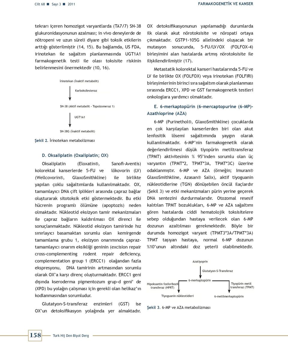 İrinotekan (İnaktif metabolit) Karboksilesteraz SN-38 (Aktif metabolit - Topoizomeraz 1) UGT1A1 SN-38G (İnaktif metabolit) Şekil 2. İrinotekan metabolizması D.