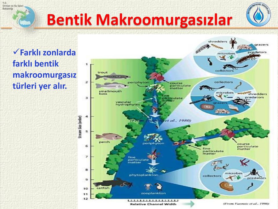 Farklı zonlarda farklı