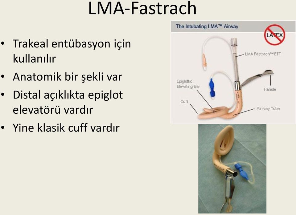 şekli var Distal açıklıkta