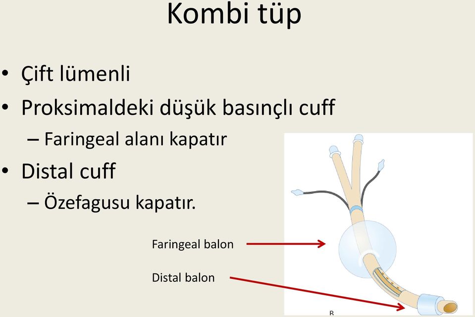 Faringeal alanı kapatır Distal