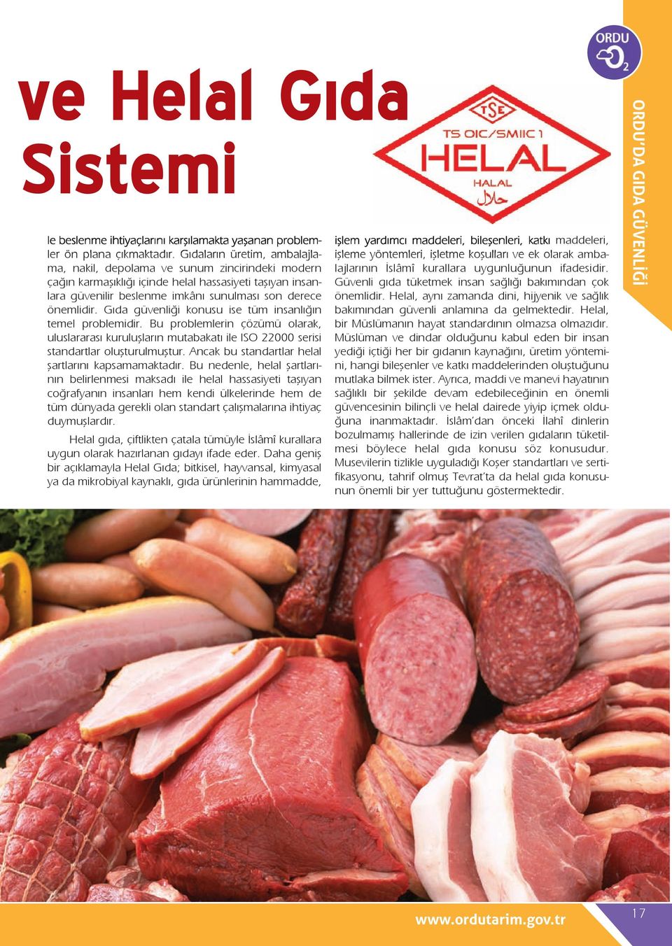 Gıda güvenliği konusu ise tüm insanlığın temel problemidir. Bu problemlerin çözümü olarak, uluslararası kuruluşların mutabakatı ile ISO 22000 serisi standartlar oluşturulmuştur.