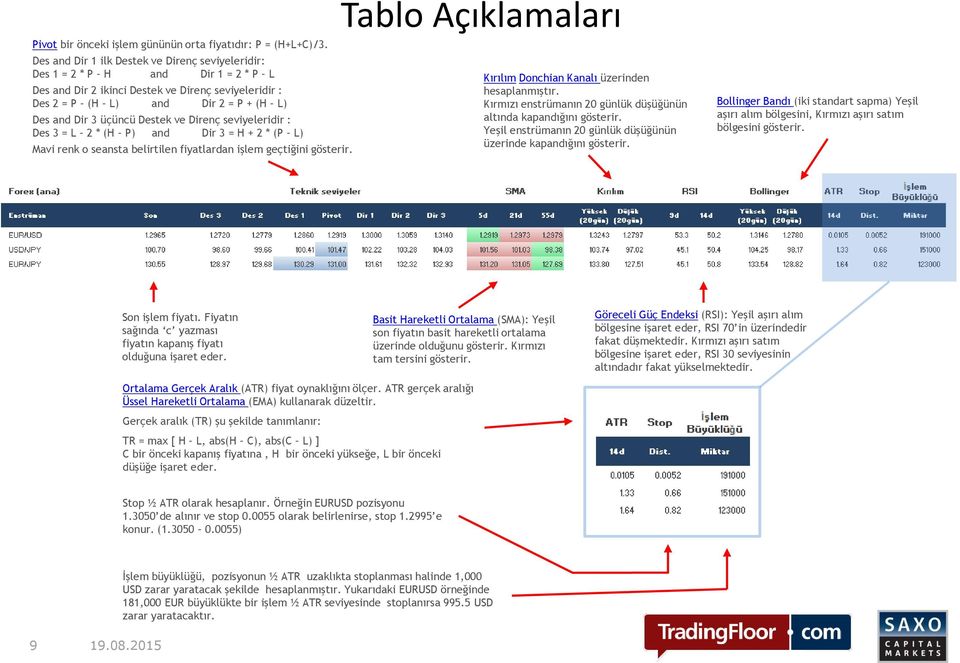 Destek ve Direnç seviyeleridir : Des 3 = L 2 * (H P) and Dir 3 = H + 2 * (P L) Mavi renk o seansta belirtilen fiyatlardan işlem geçtiğini gösterir.