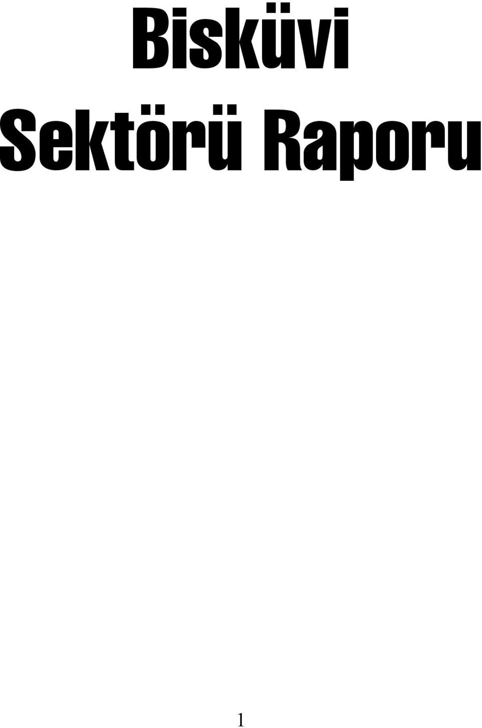 Raporu 1