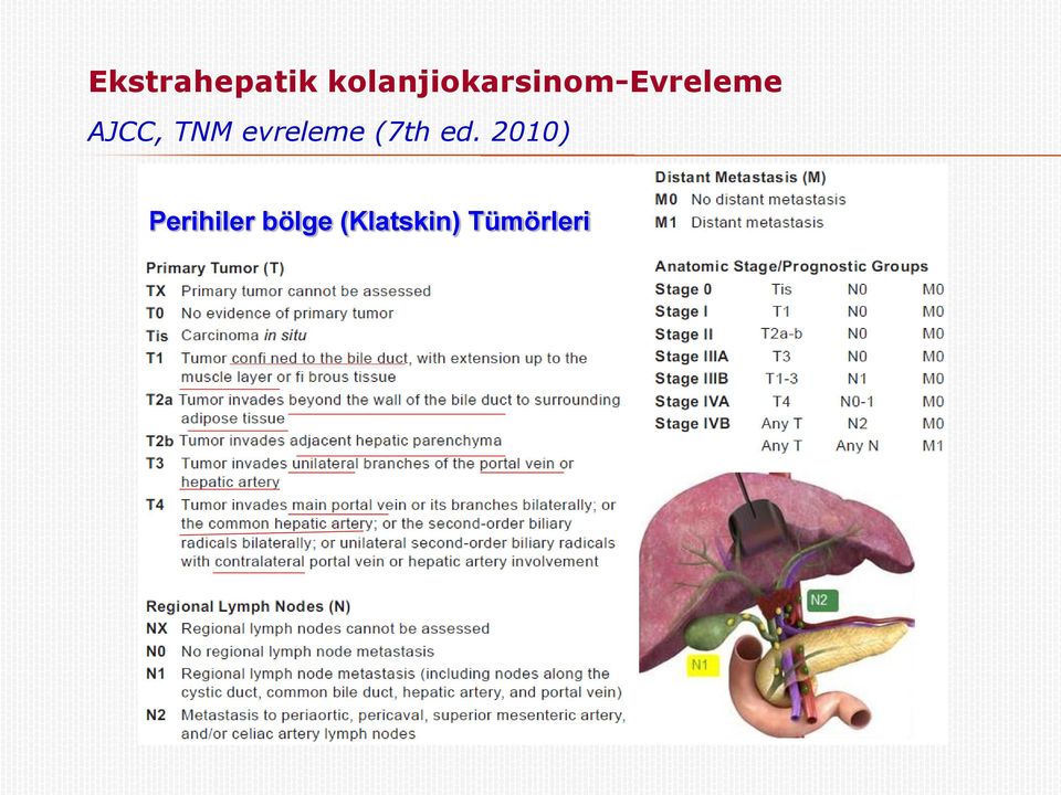 AJCC, TNM evreleme (7th ed.