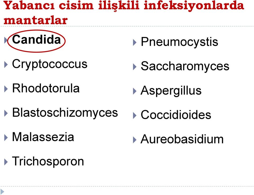 Rhodotorula Blastoschizomyces Malassezia