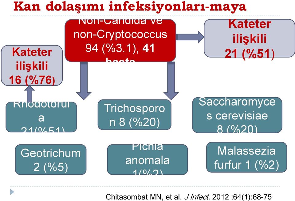 1), 41 hasta Kateter ilişkili 21 (%51) Rhodotorul a 21(%51) Geotrichum 2 (%5)