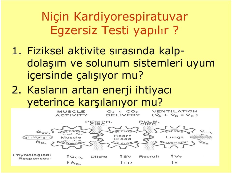 solunum sistemleri uyum içersinde çalışıyor mu? 2.