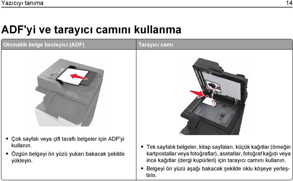 Tek sayfalık belgeler, kitap sayfaları, küçük kağıtlar (örneğin kartpostallar veya fotoğraflar), asetatlar, fotoğraf