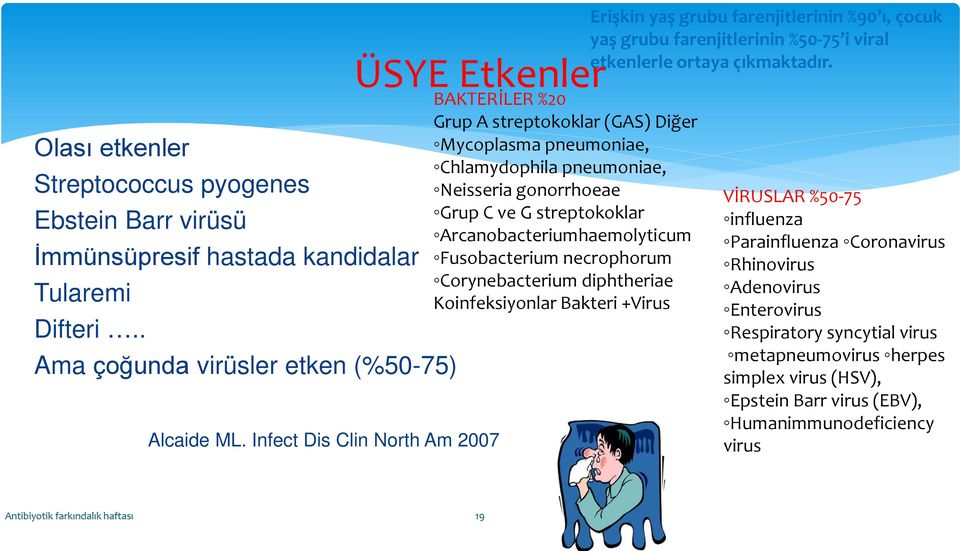 Arcanobacteriumhaemolyticum Fusobacterium necrophorum Corynebacterium diphtheriae Koinfeksiyonlar Bakteri +Virus Erişkin yaş grubu farenjitlerinin %90 ı, çocuk yaş grubu farenjitlerinin %50-75 i