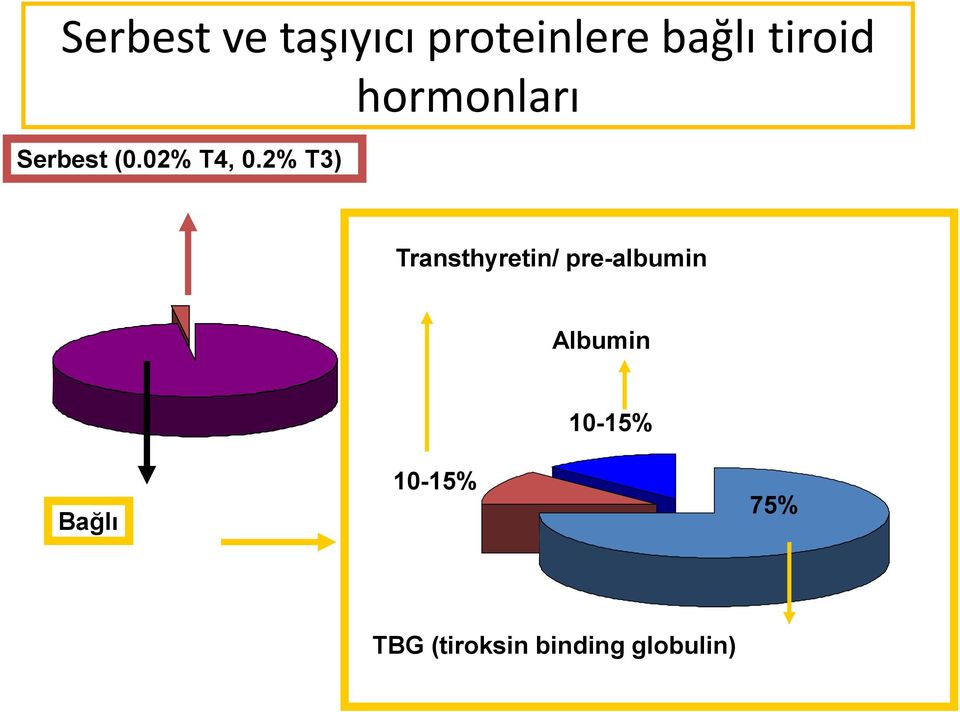 2% T3) hormonları Transthyretin/