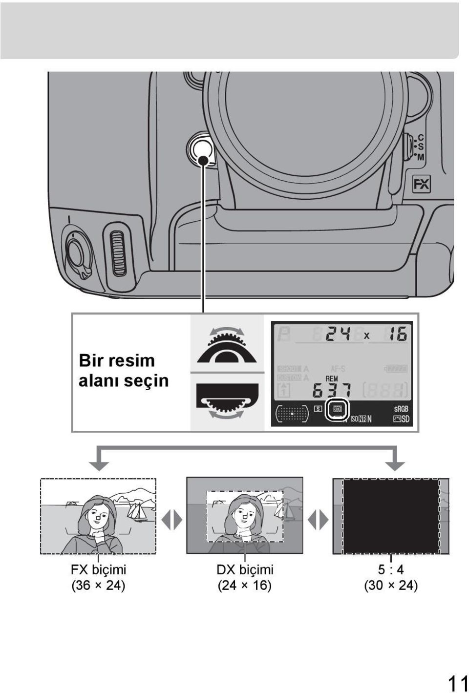 (36 24) DX biçimi