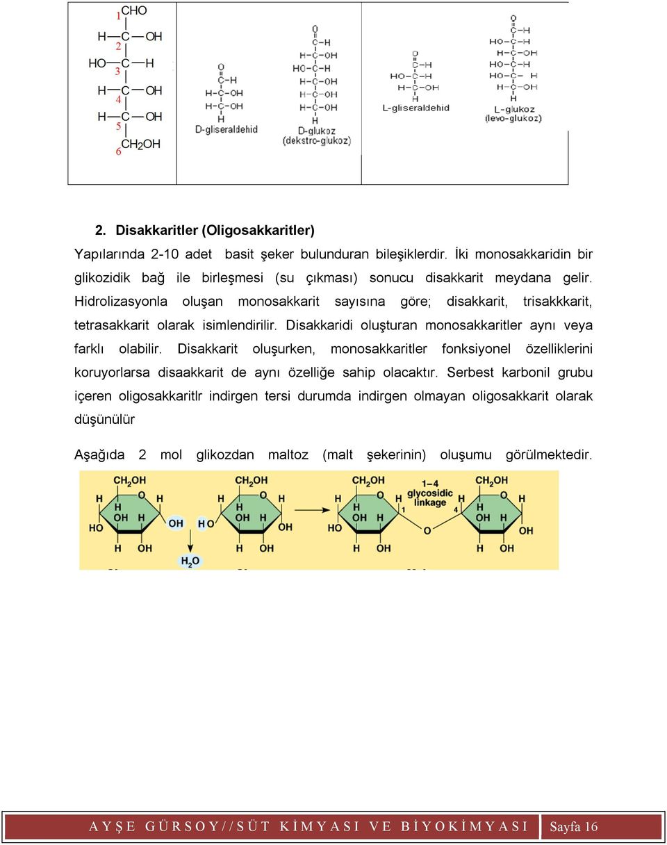 Hidrolizasyonla oluşan monosakkarit sayısına göre; disakkarit, trisakkkarit, tetrasakkarit olarak isimlendirilir. Disakkaridi oluşturan monosakkaritler aynı veya farklı olabilir.