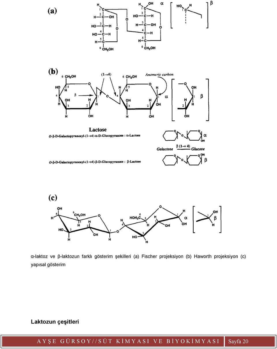 yapısal gösterim Laktozun çeşitleri A Y Ş E G Ü R S O