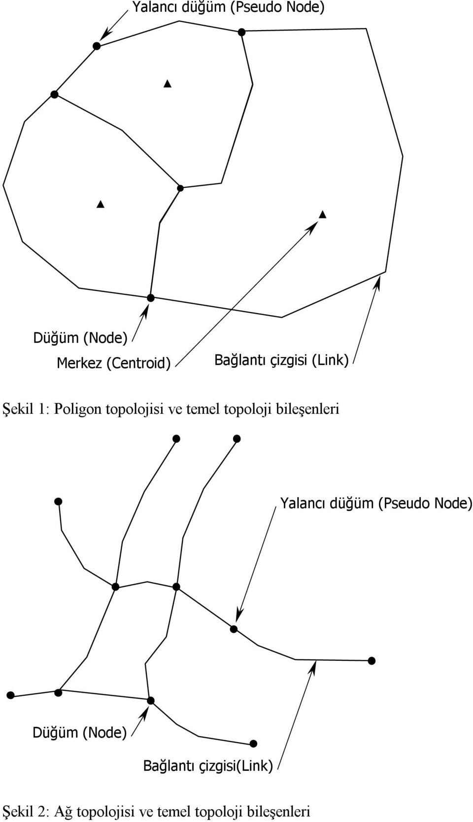 topoloji bileşenleri Yalancı düğüm (Pseudo Node) Düğüm (Node)