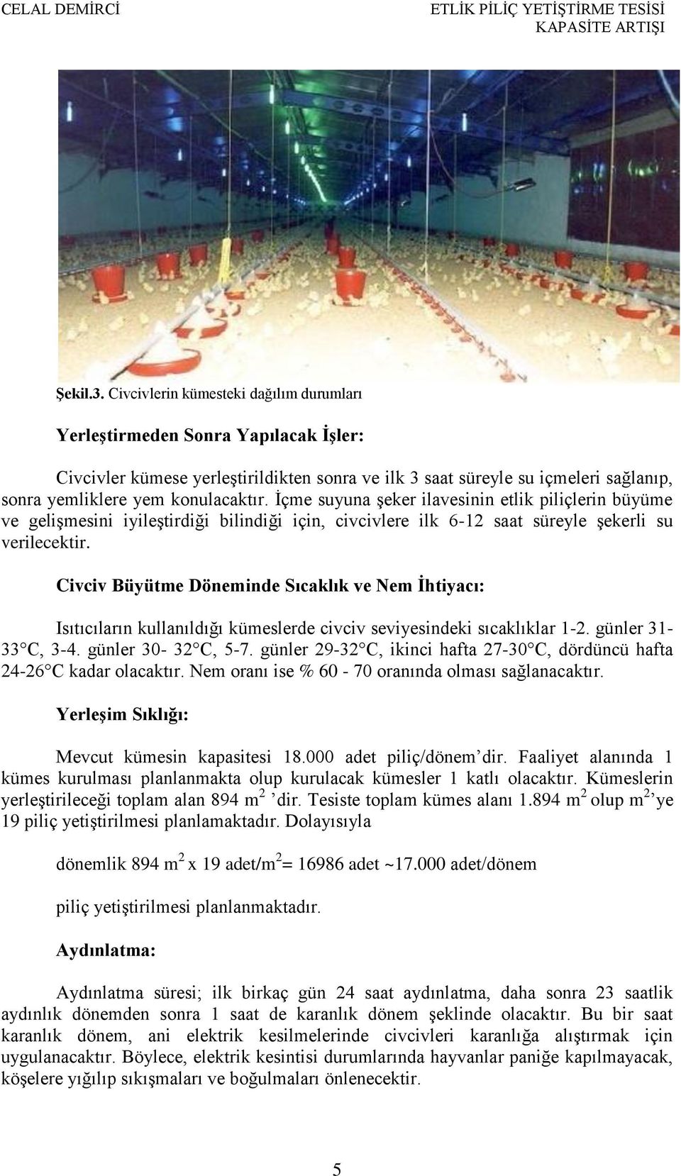 İçme suyuna şeker ilavesinin etlik piliçlerin büyüme ve gelişmesini iyileştirdiği bilindiği için, civcivlere ilk 6-12 saat süreyle şekerli su verilecektir.