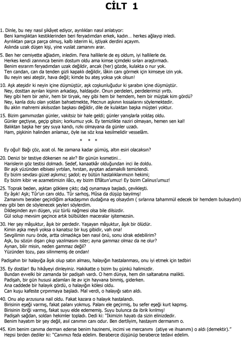 Fena hallilerle de eş oldum, iyi hallilerle de. Herkes kendi zannınca benim dostum oldu ama kimse içimdeki sırları araştırmadı.